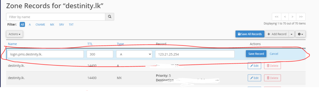 domain manaber DNS settings